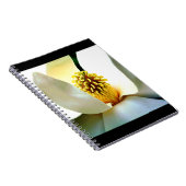 Magnolia Bloom Macro Notizblock (Rechte Seite)