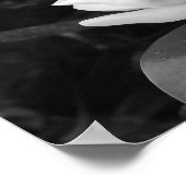 Magnolia Bloom Poster (Ecke)