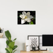 Magnolia Bloom Poster (Heimbüro)