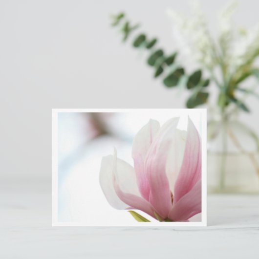 Magnolia Bloom Postkarte (Stehend Vorderseite)