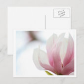 Magnolia Bloom Postkarte (Vorne/Hinten)