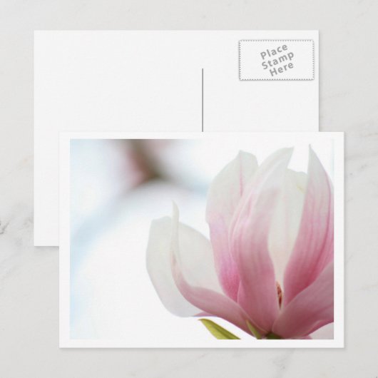 Magnolia Bloom Postkarte (Vorne/Hinten)