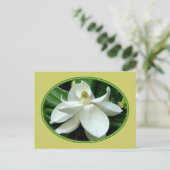 Magnolia Bloom Postkarte 2 (Stehend Vorderseite)