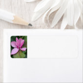 Magnolia Bloom Rücksendeadresse (Insitu)