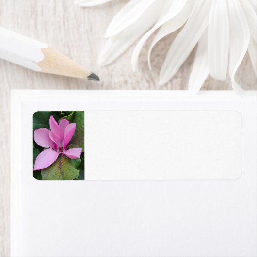 Magnolia Bloom Rücksendeadresse (Insitu)