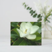Magnolia Bloom Savannah Georgia Postkarte (Stehend Vorderseite)