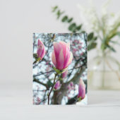 Magnolia Bloom und Buds Postkarte (Stehend Vorderseite)