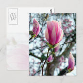 Magnolia Bloom und Buds Postkarte (Vorne/Hinten)