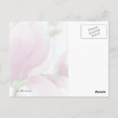 Magnolia Bloom und Buds Postkarte (Rückseite)