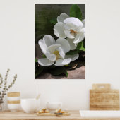 Magnolia Blooms Poster -24x36 - andere Größen auch (Küche)