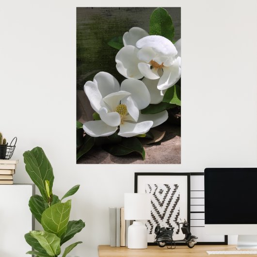 Magnolia Blooms Poster -24x36 - andere Größen auch (Heimbüro)