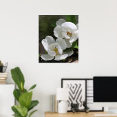Magnolia Blooms Print -20x24 -andere Größen auch Poster (Heimbüro)