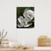 Magnolia Blooms Print -20x24 -andere Größen auch Poster (Küche)