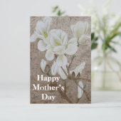 Magnolia Blossom (Stehend Vorderseite)
