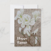 Magnolia Blossom (Vorderseite)
