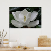 Magnolia Blossom auf dem Campus von Blacksburg Poster (Küche)