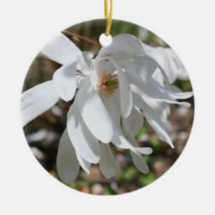 Magnolia Blossom Blume Ornament Obelisk