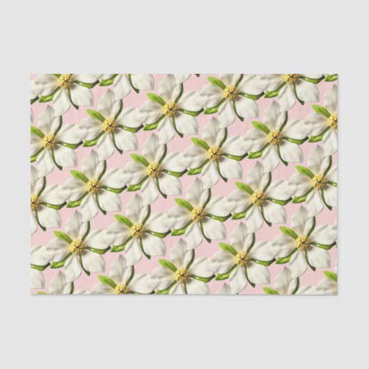 Magnolia Blossom Blume Pink White Wedding Seidenpapier (Vorderseite)