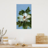 Magnolia Blossom Blume Poster Print (Küche)