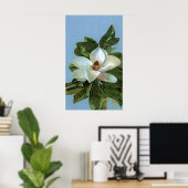 Magnolia Blossom Blume Poster Print (Heimbüro)