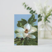 Magnolia Blossom Blume Postkarte (Stehend Vorderseite)