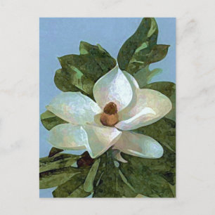 Magnolia Blossom Blume Postkarte
