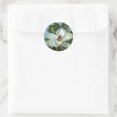 Magnolia Blossom Blume Runder Aufkleber (Tasche)