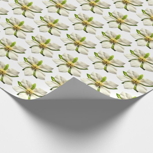 Magnolia Blossom Blume Spring Wedding MCM Geschenkpapier (Ecke)