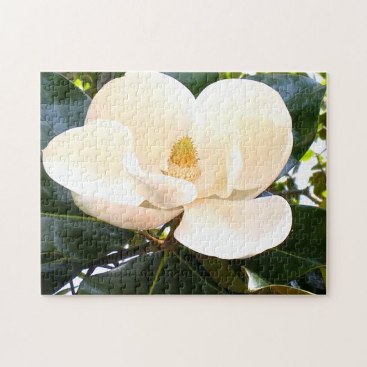 Magnolia Blossom Botanischer Baum Blume Puzzle (Horizontal)