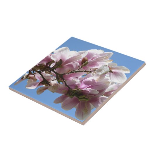 Magnolia Blossom Fliese (Seite)