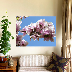 Magnolia Blossom Fotodruck
