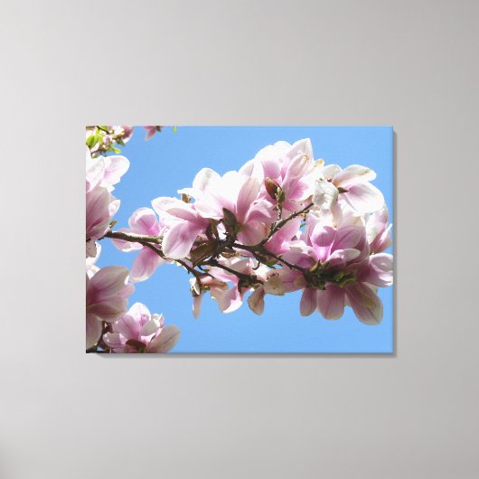 Magnolia Blossom Leinwanddruck (Vorderseite)