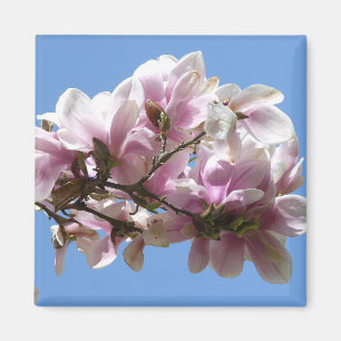 Magnolia Blossom Magnet