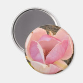 Magnolia Blossom Magnet (Vorderseite/Rückseite)