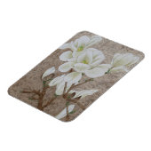 Magnolia Blossom Magnet (Linke Seite)