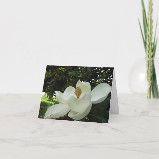 Magnolia Blossom Note Card Karte (Vorderseite)