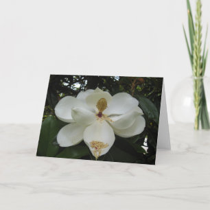 Magnolia Blossom Note Card Karte