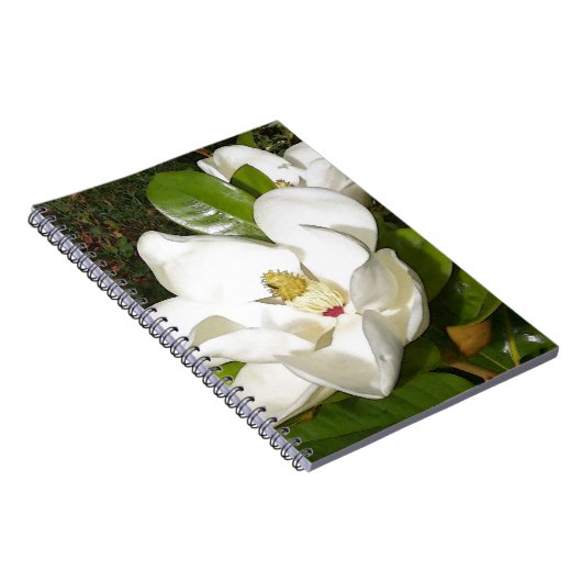 Magnolia Blossom Notizblock (Rechte Seite)