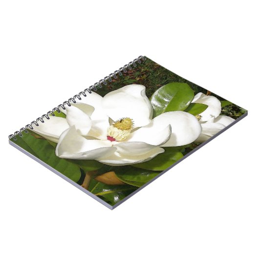 Magnolia Blossom Notizblock (Linke Seite)