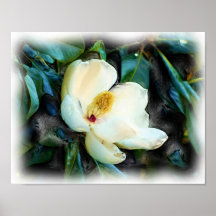Magnolia Blossom Ölgemälde Digitale Kunst