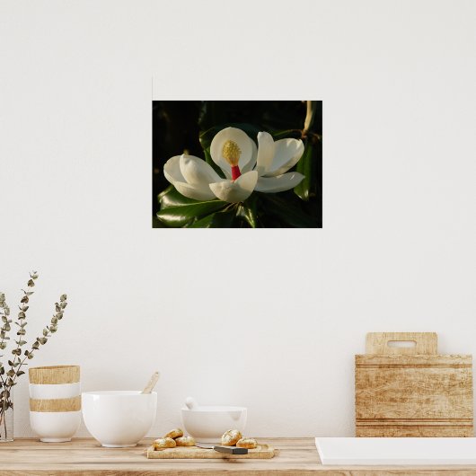 Magnolia Blossom Poster (Küche)