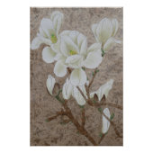 Magnolia Blossom Poster (Vorderseite)