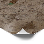 Magnolia Blossom Poster (Ecke)
