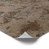 Magnolia Blossom Poster (Ecke)