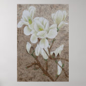 Magnolia Blossom Poster (Vorne)