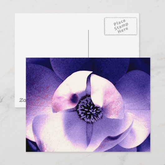 Magnolia Blossom Postkarte (Vorne/Hinten)