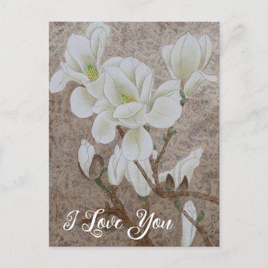 Magnolia Blossom Postkarte (Vorderseite)