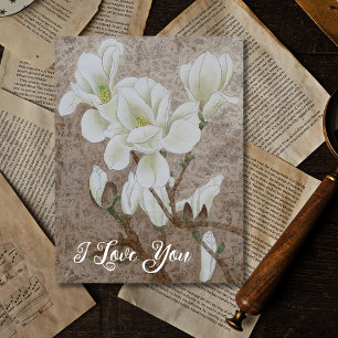 Magnolia Blossom Postkarte