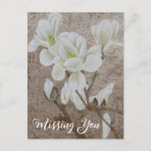 Magnolia Blossom Postkarte (Vorderseite)