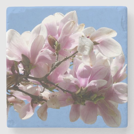 Magnolia Blossom Steinuntersetzer (Vorderseite)